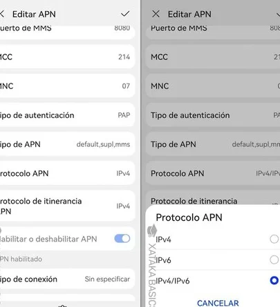apn ipv4 ipv6 dual beneficios y cuando usarlo