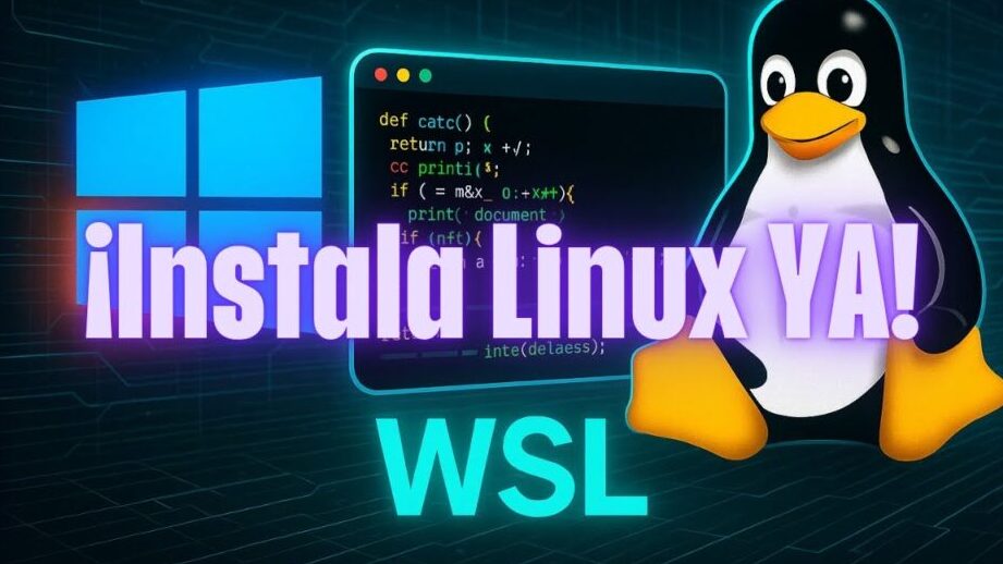 guia de wsl instala linux en windows 11 sin complicaciones