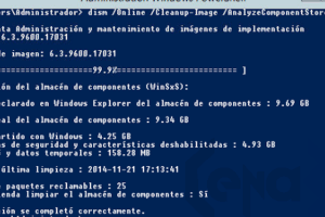 Cómo limpiar el WinSxS sin riesgos en Windows 11