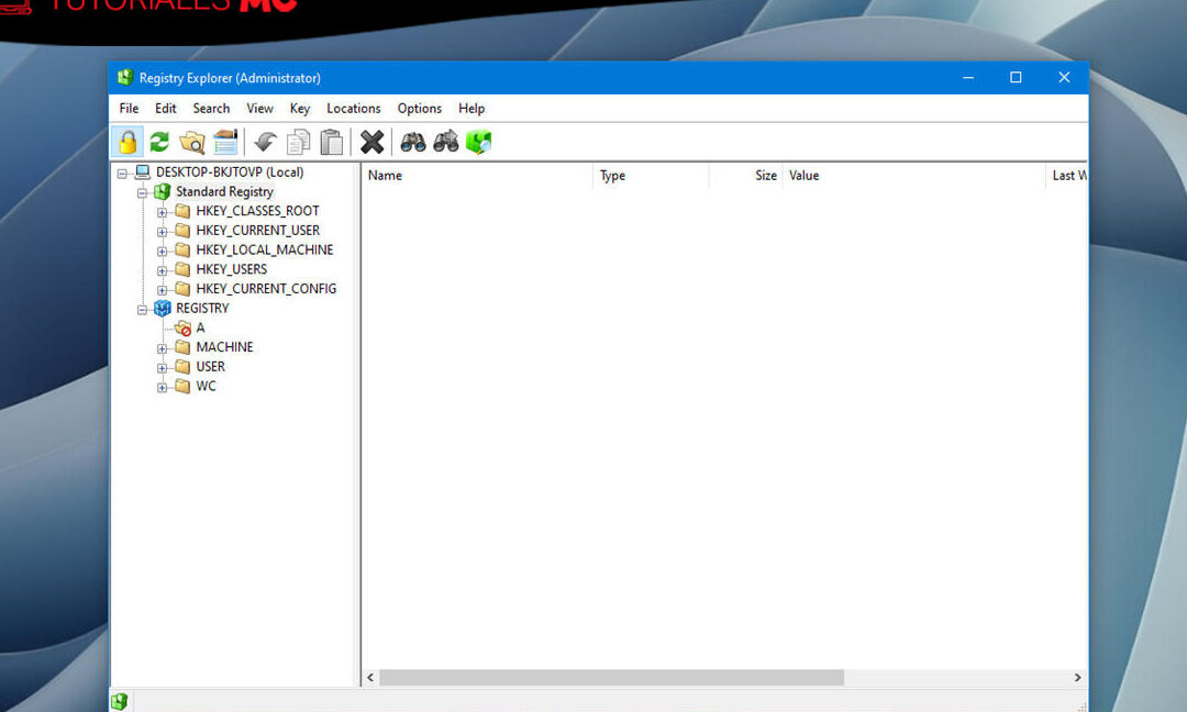registro de windows ediciones seguras para usuarios avanzados